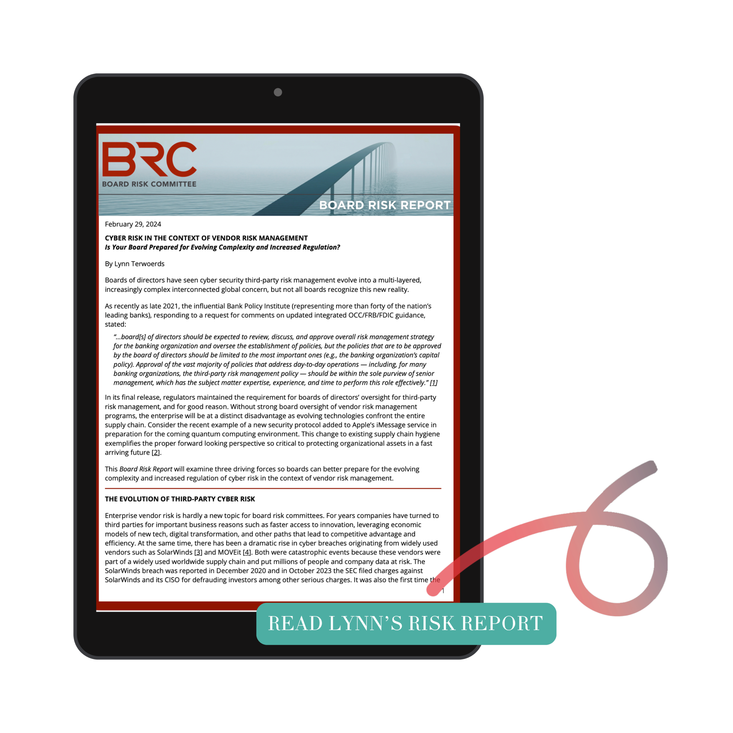BRC-risk report (2)